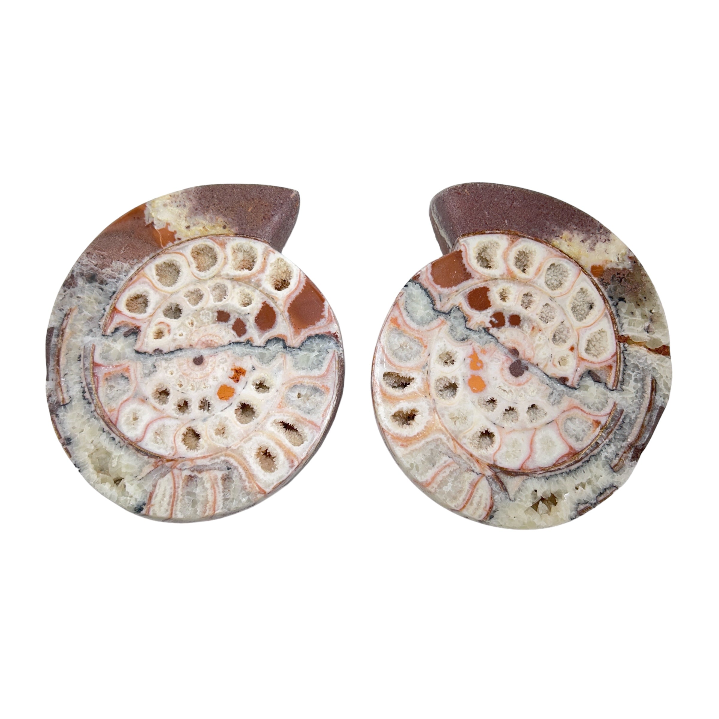 Ammonite Pairs with Holes