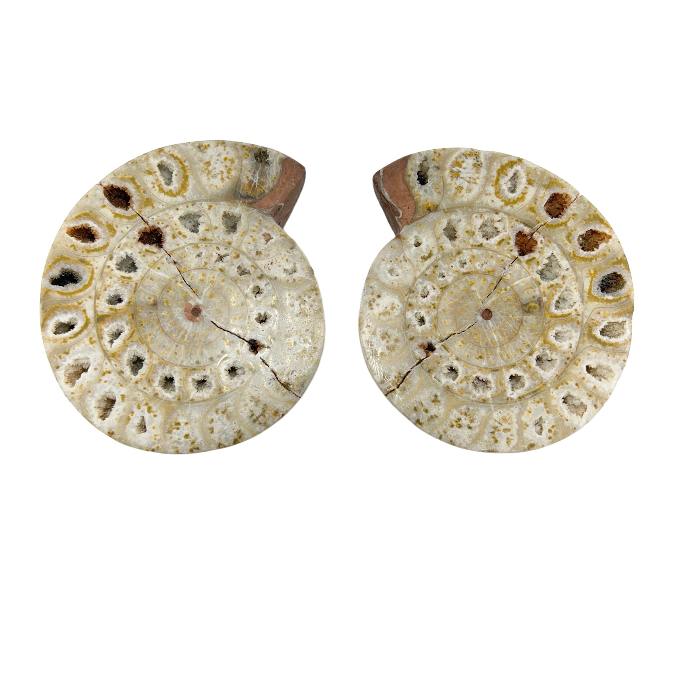 Ammonite Pairs with Holes