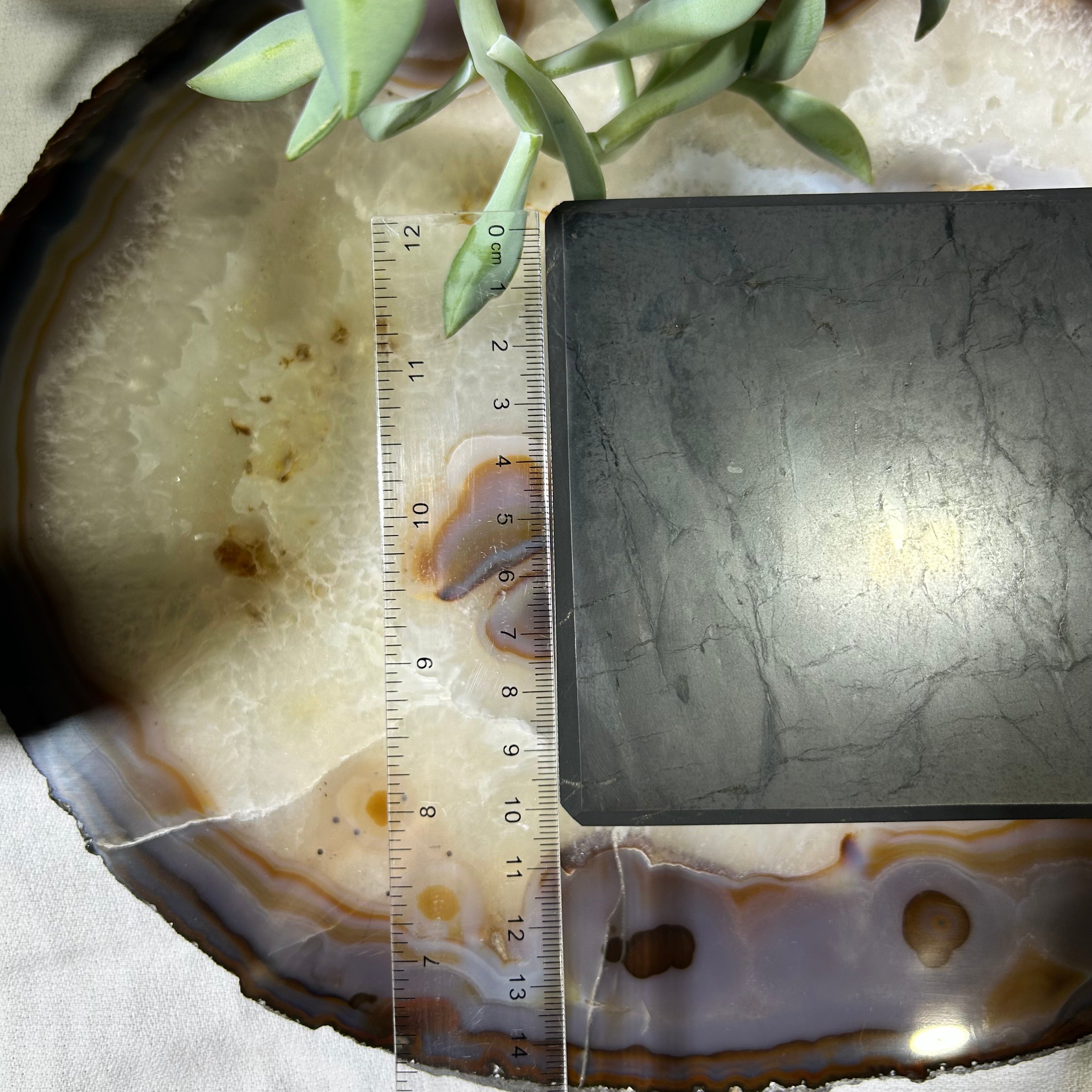 Shungite Polished Brick