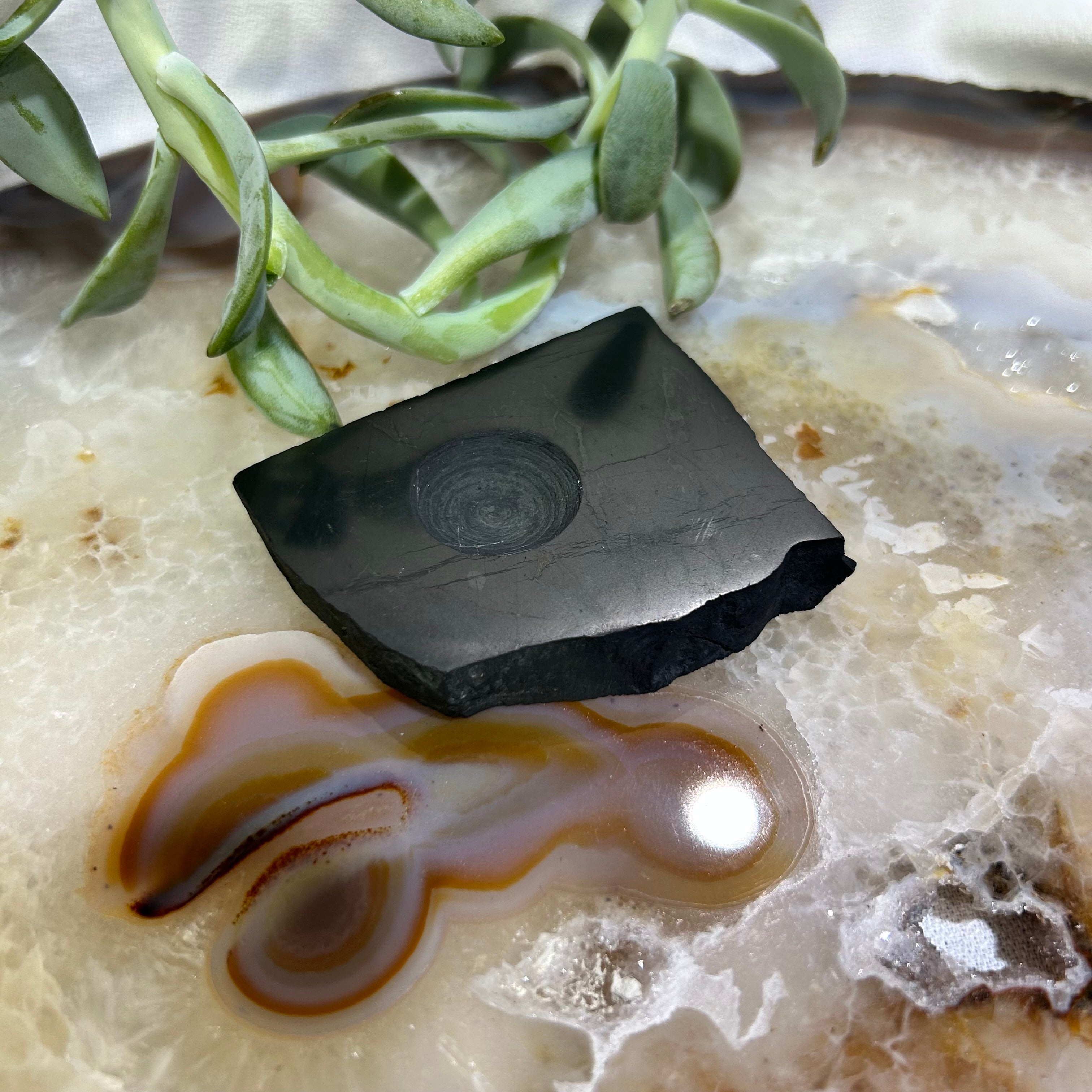 Shungite Sphere Stands Small