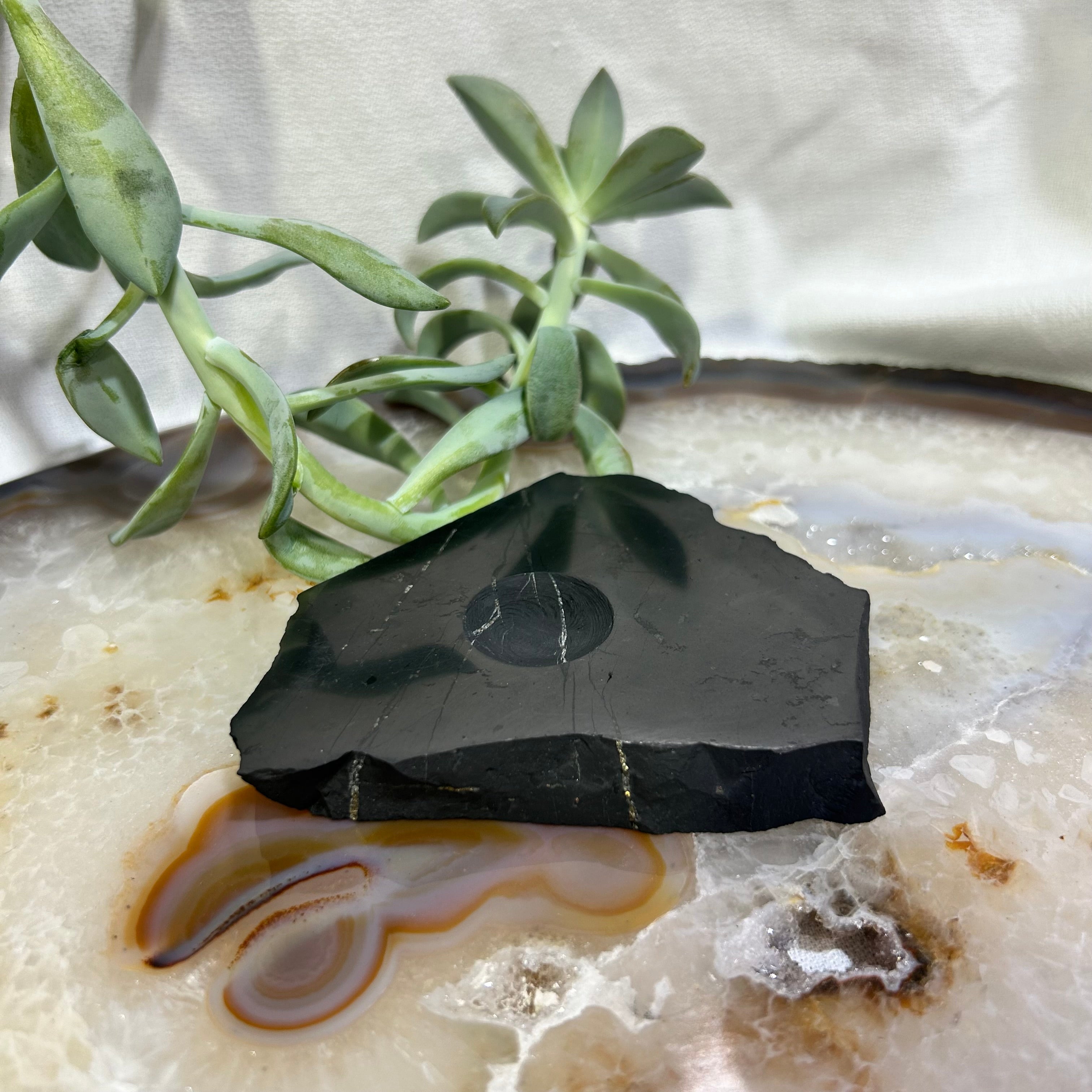 Shungite Sphere Stands Medium