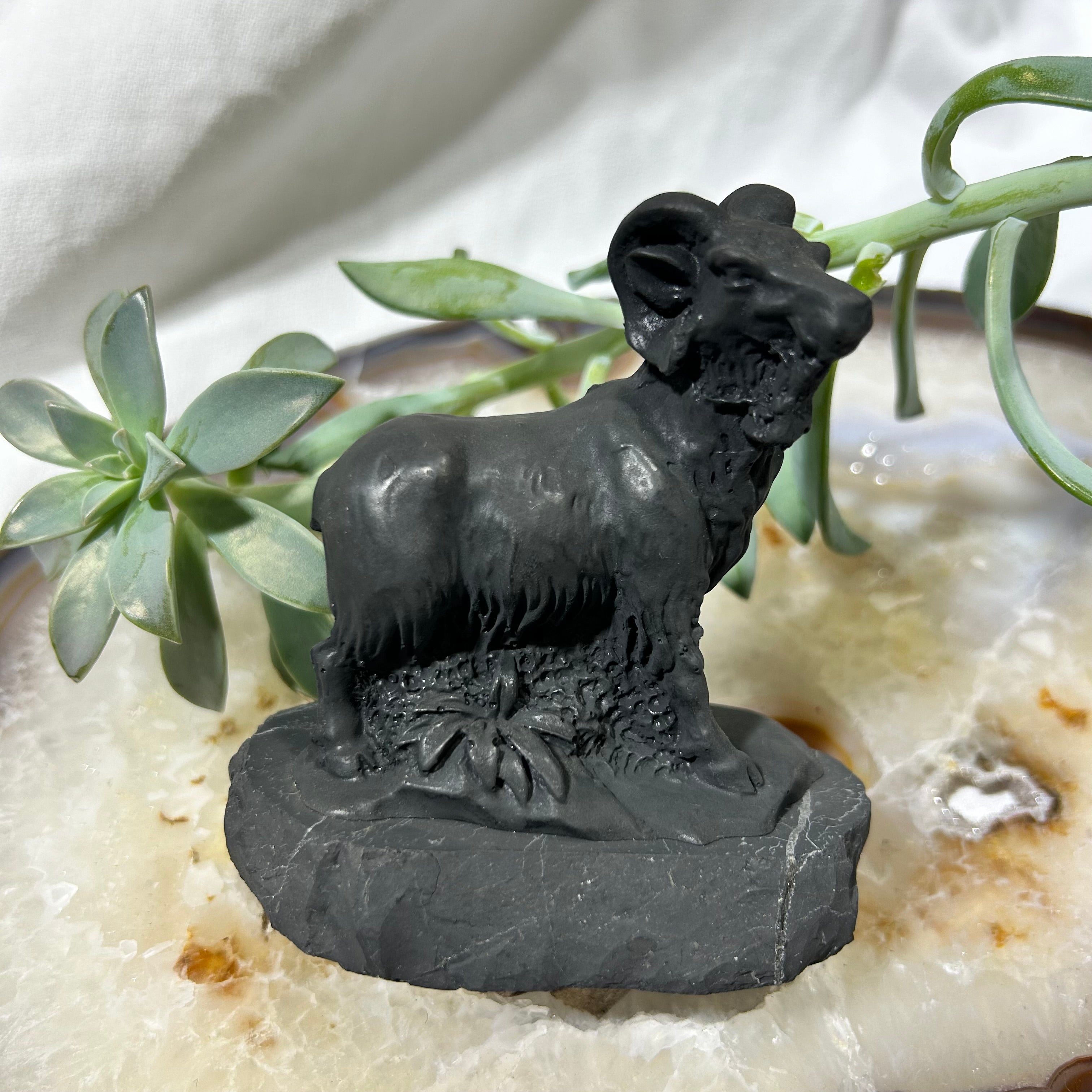 Shungite Ram