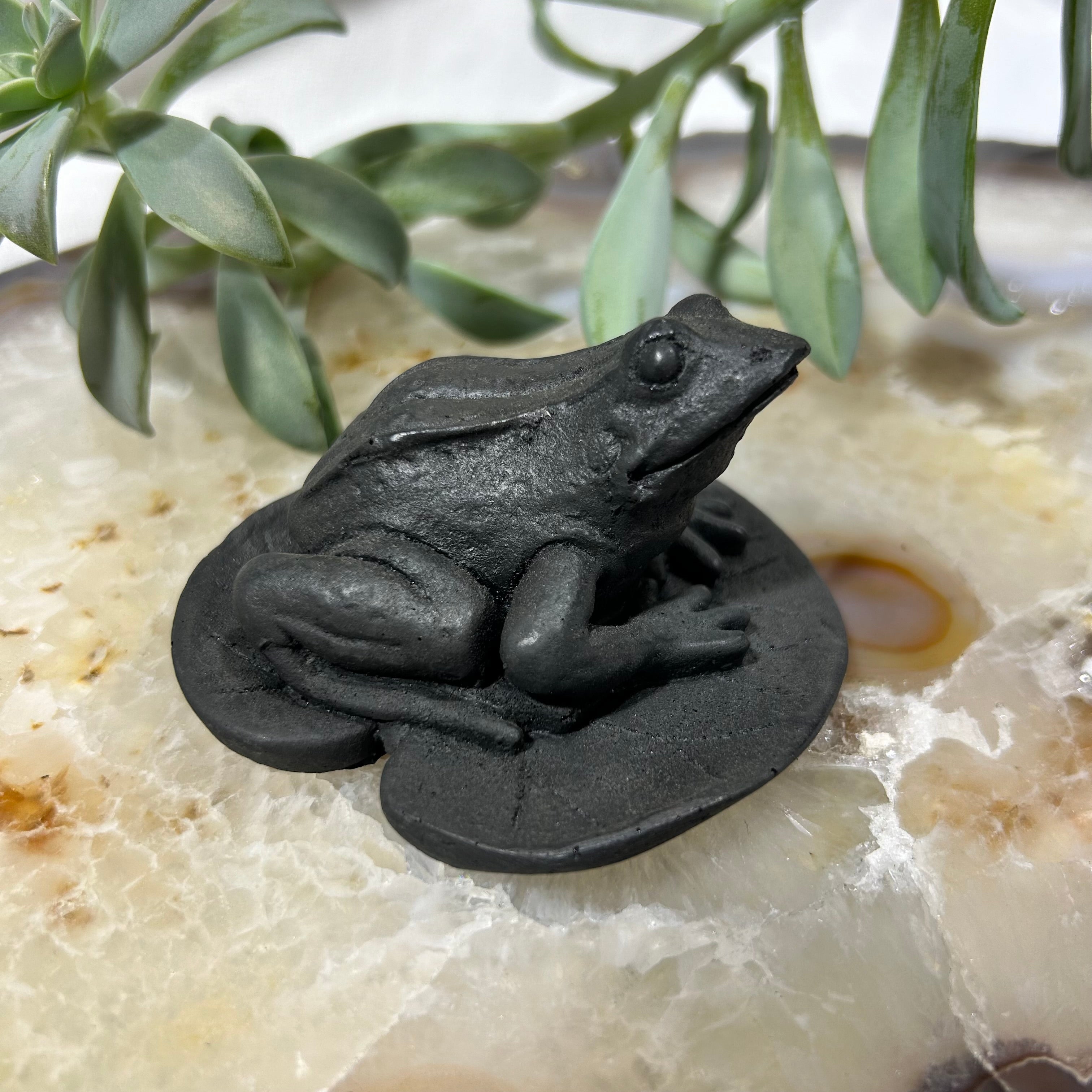 Shungite Frog on Leaf