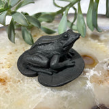 Shungite Frog on Leaf
