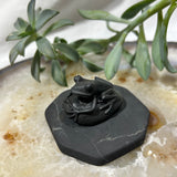 Shungite Frog on Pebble