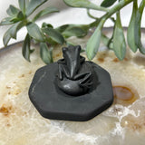 Shungite Frog on Pebble
