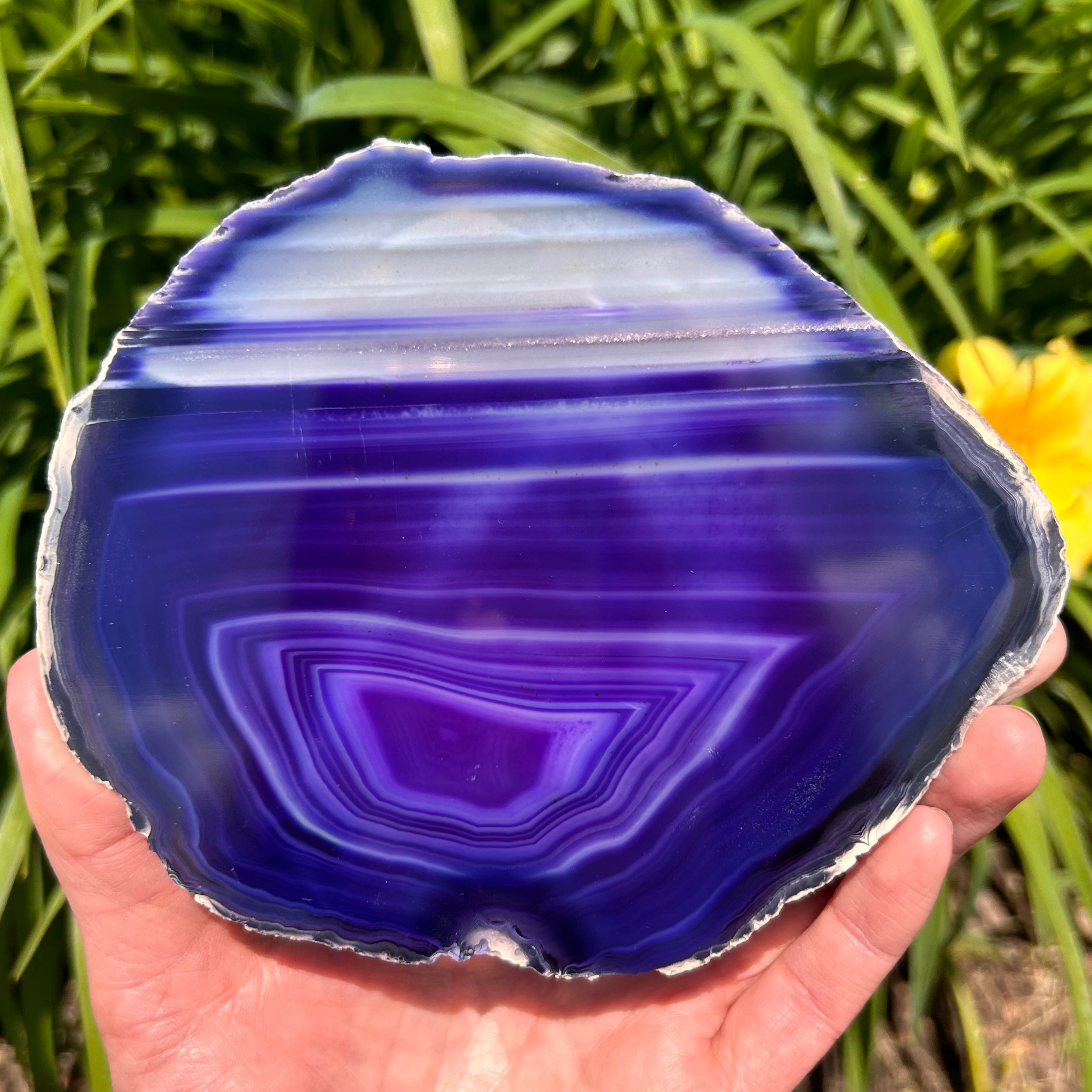 Agate Slices Dyed