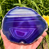 Agate Slices Dyed