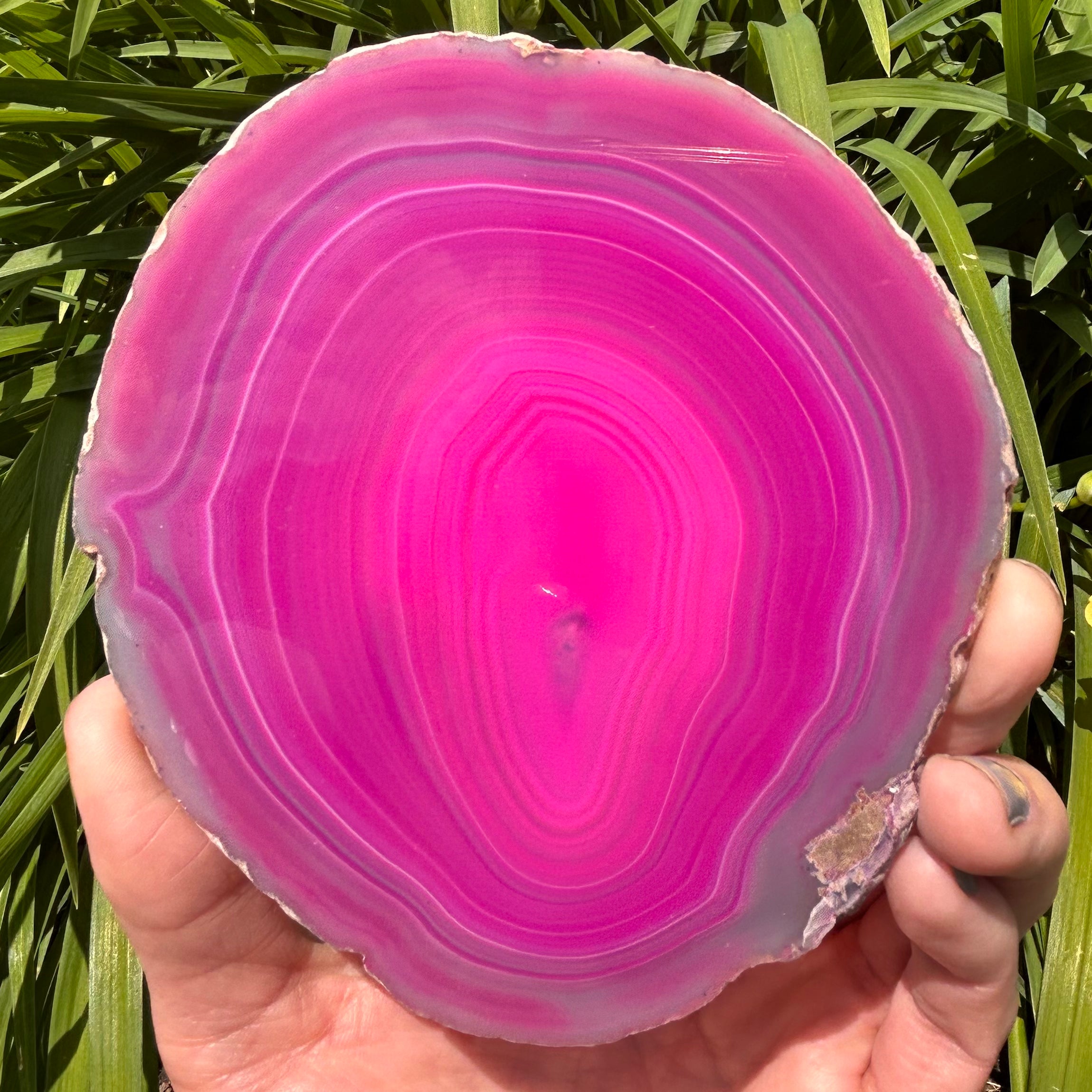 Agate Slices Dyed