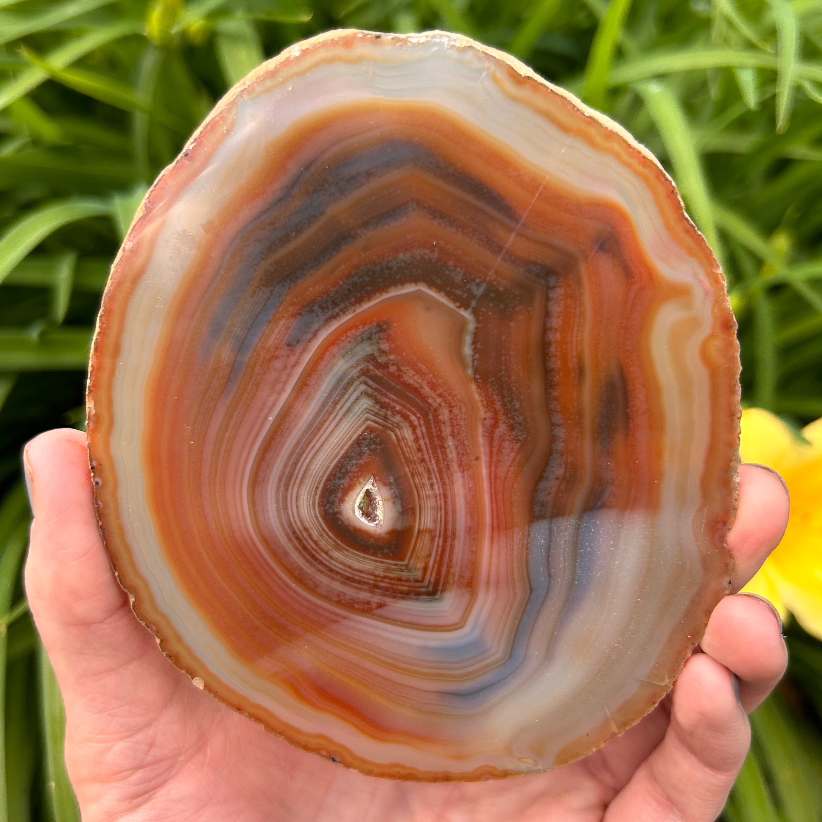 Agate Slices Dyed