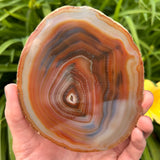 Agate Slices Dyed