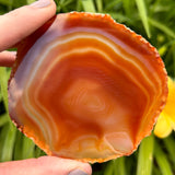 Agate Slices Dyed