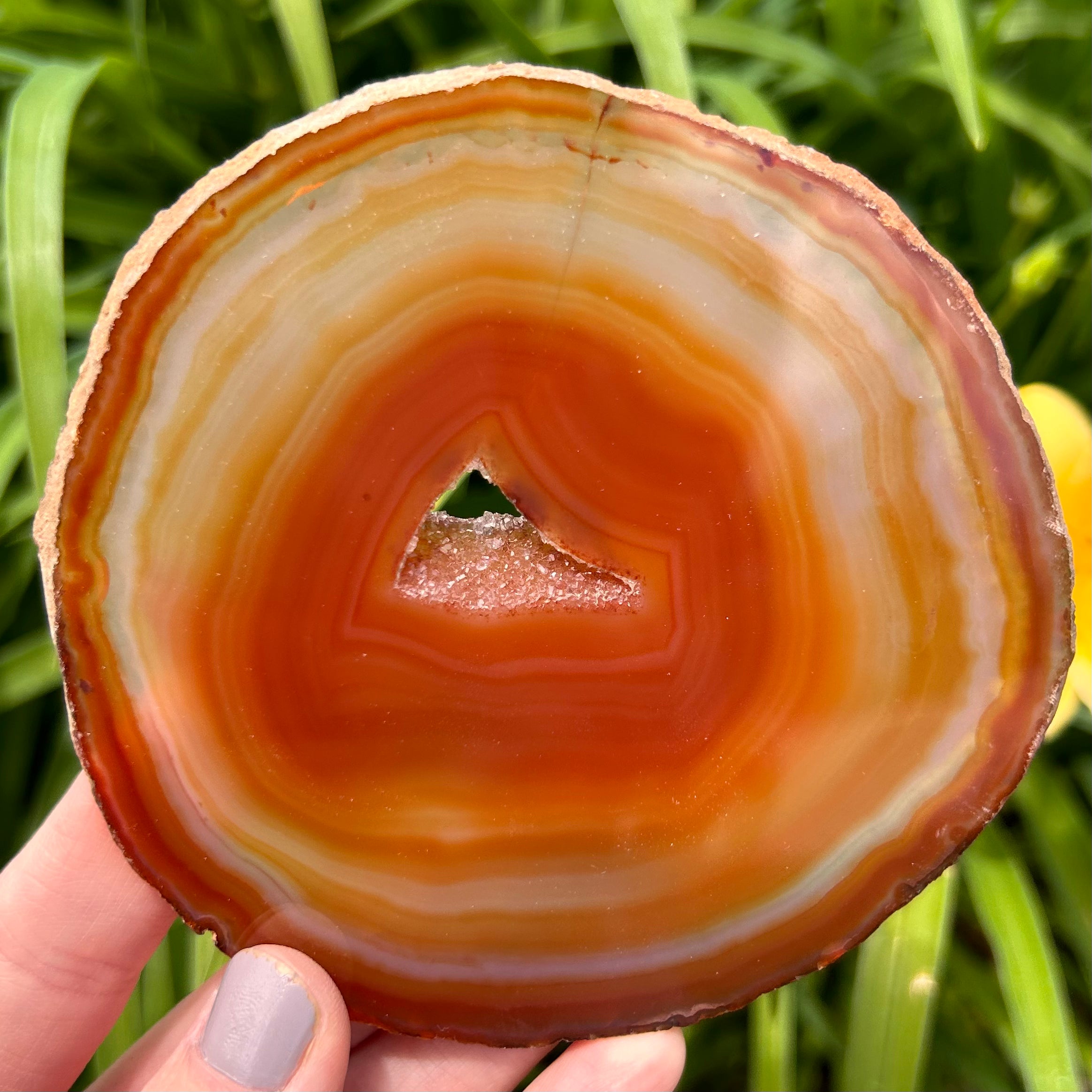 Agate Slices Dyed