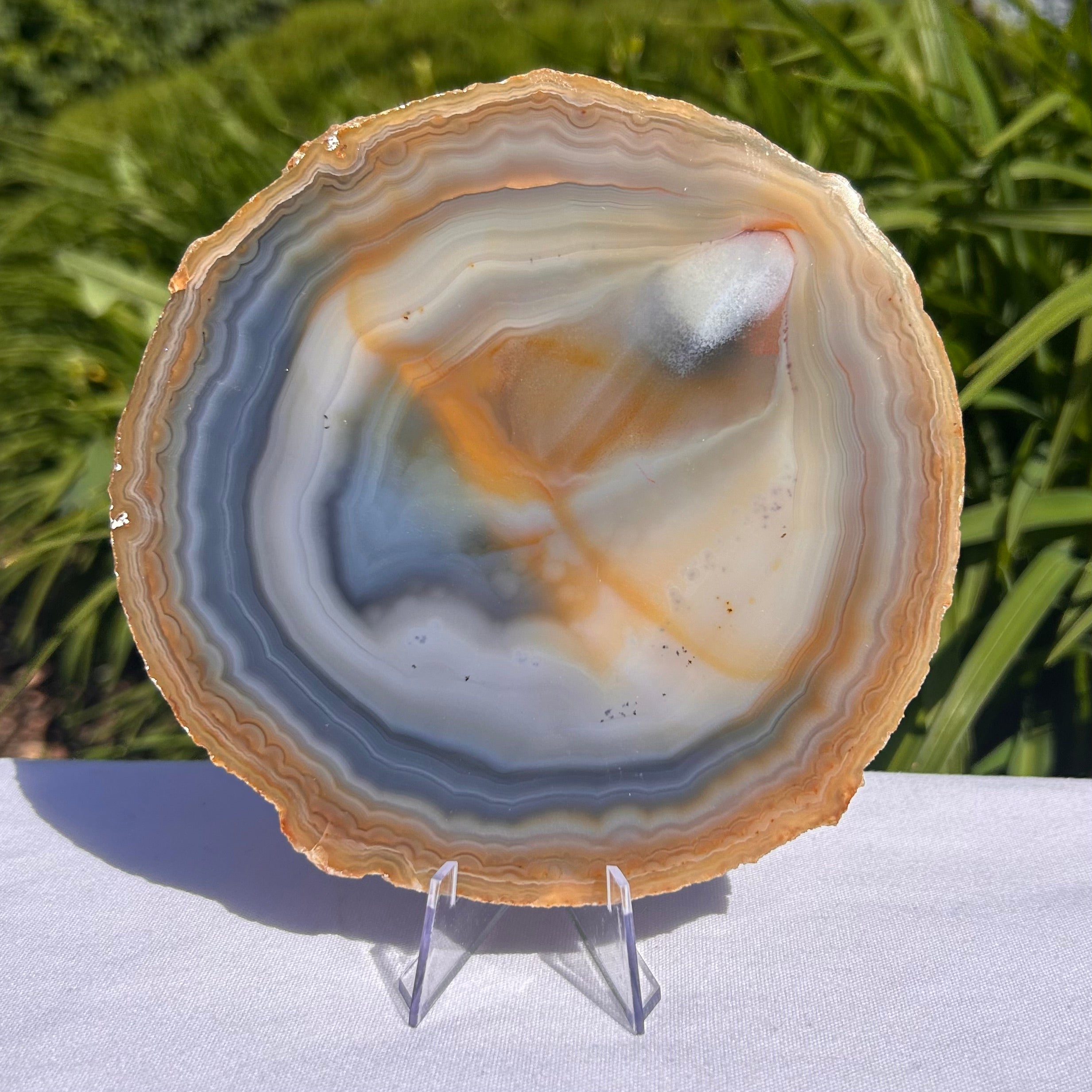 Agate Slices Natural