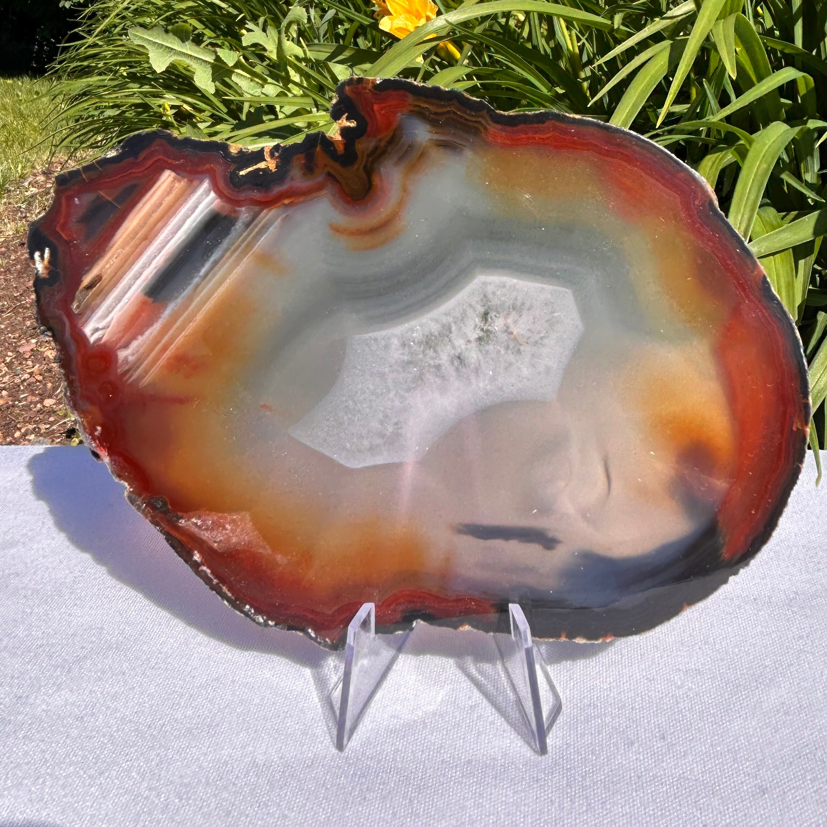 Agate Slices Natural