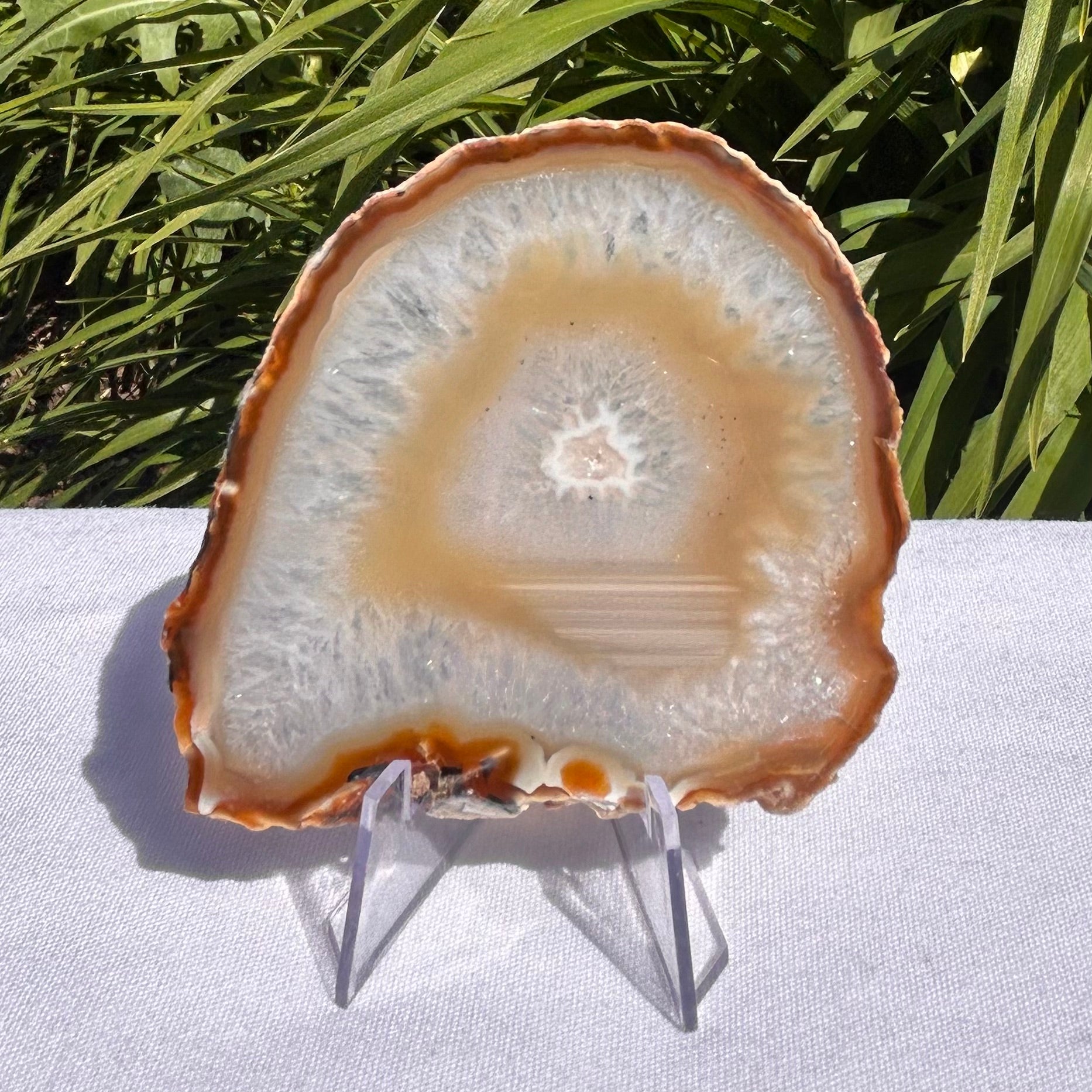 Agate Slices Natural