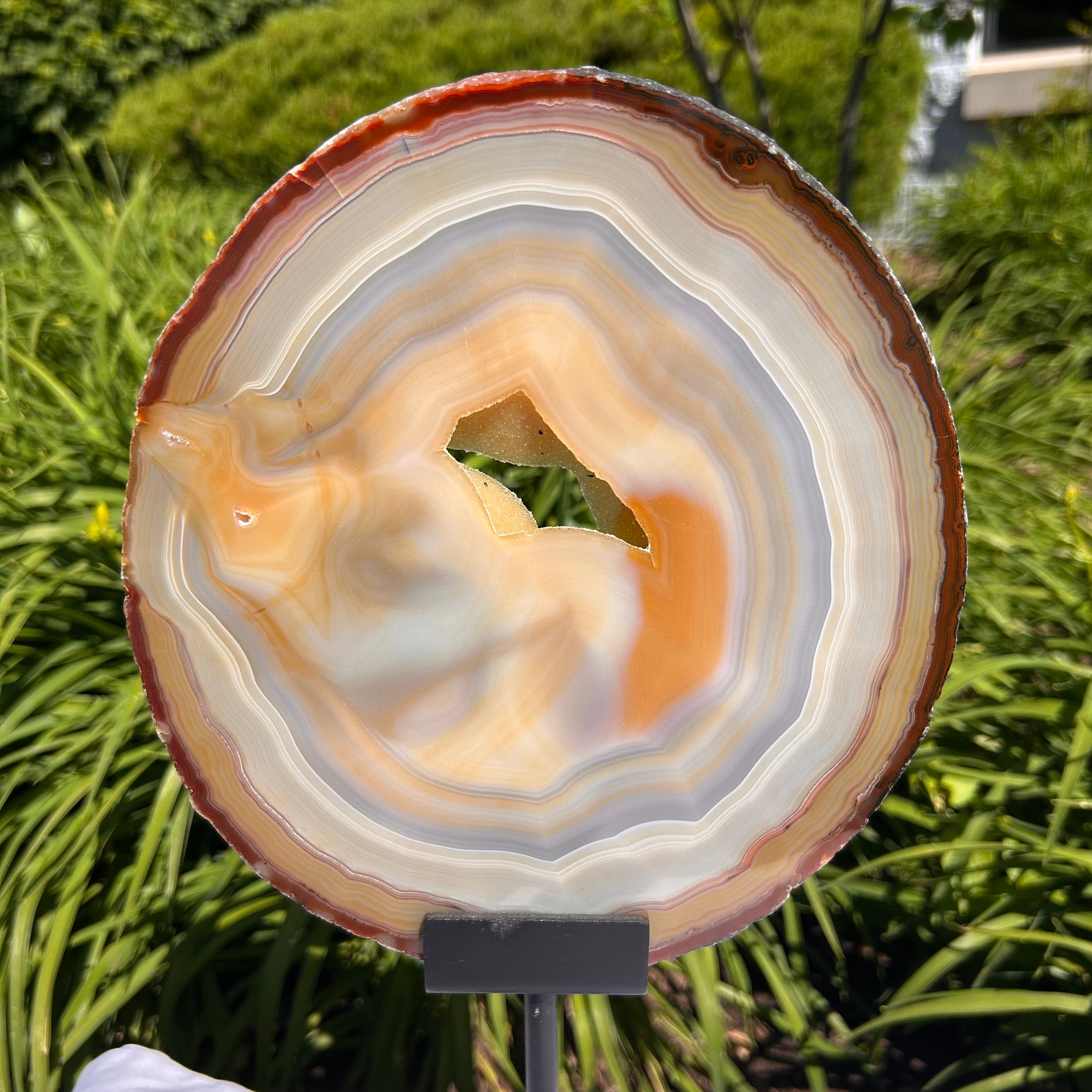 Agate Slices Natural on Stand