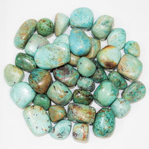 Chrysocolla Tumbled