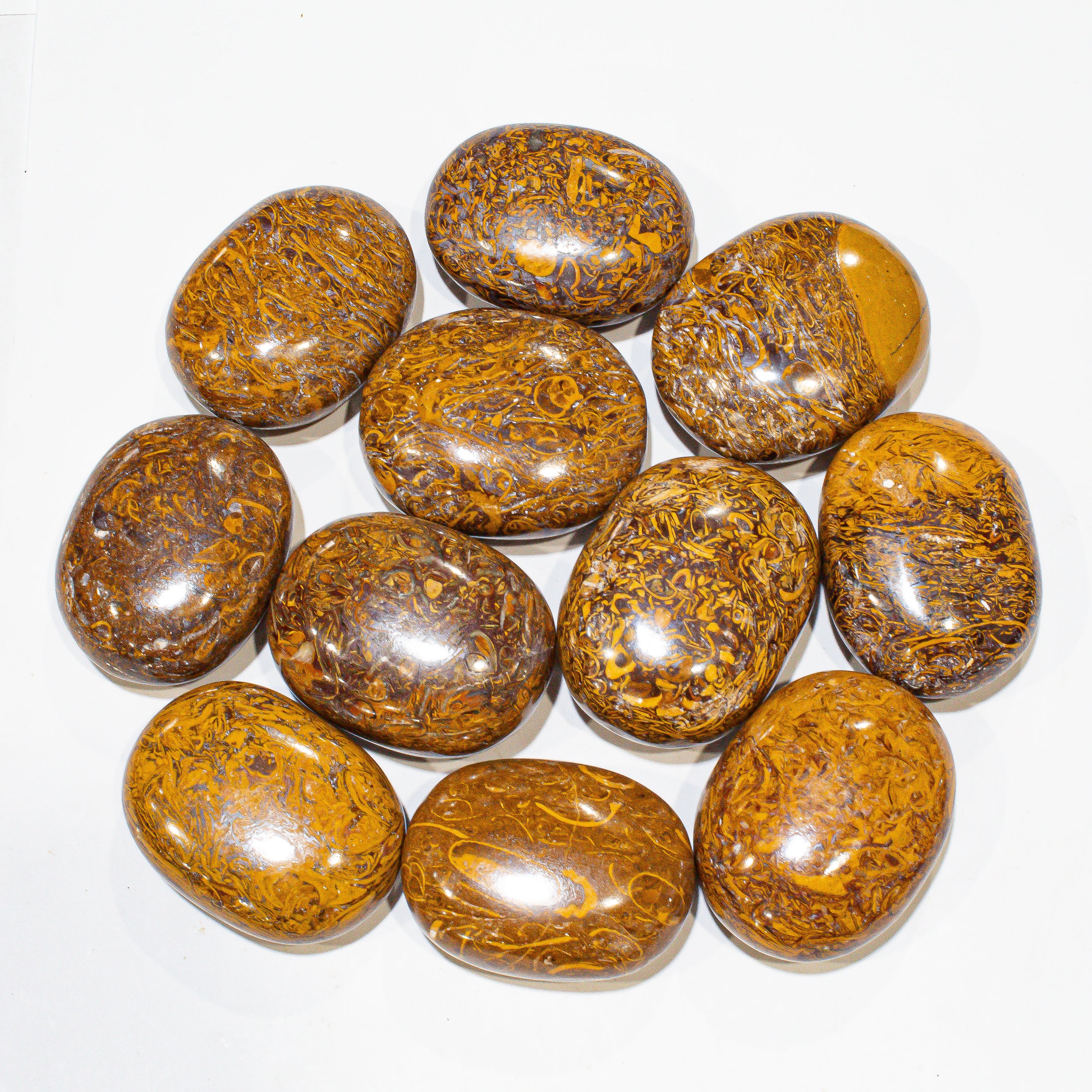 Miriam Jasper Pillows