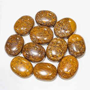 Miriam Jasper Pillows