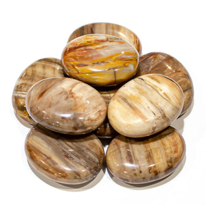 Petrified Wood Pillows