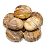 Petrified Wood Pillows