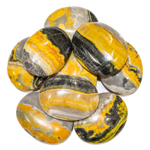Bumble Bee Jasper Pillows