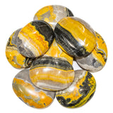 Bumble Bee Jasper Pillows