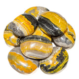 Bumble Bee Jasper Pillows