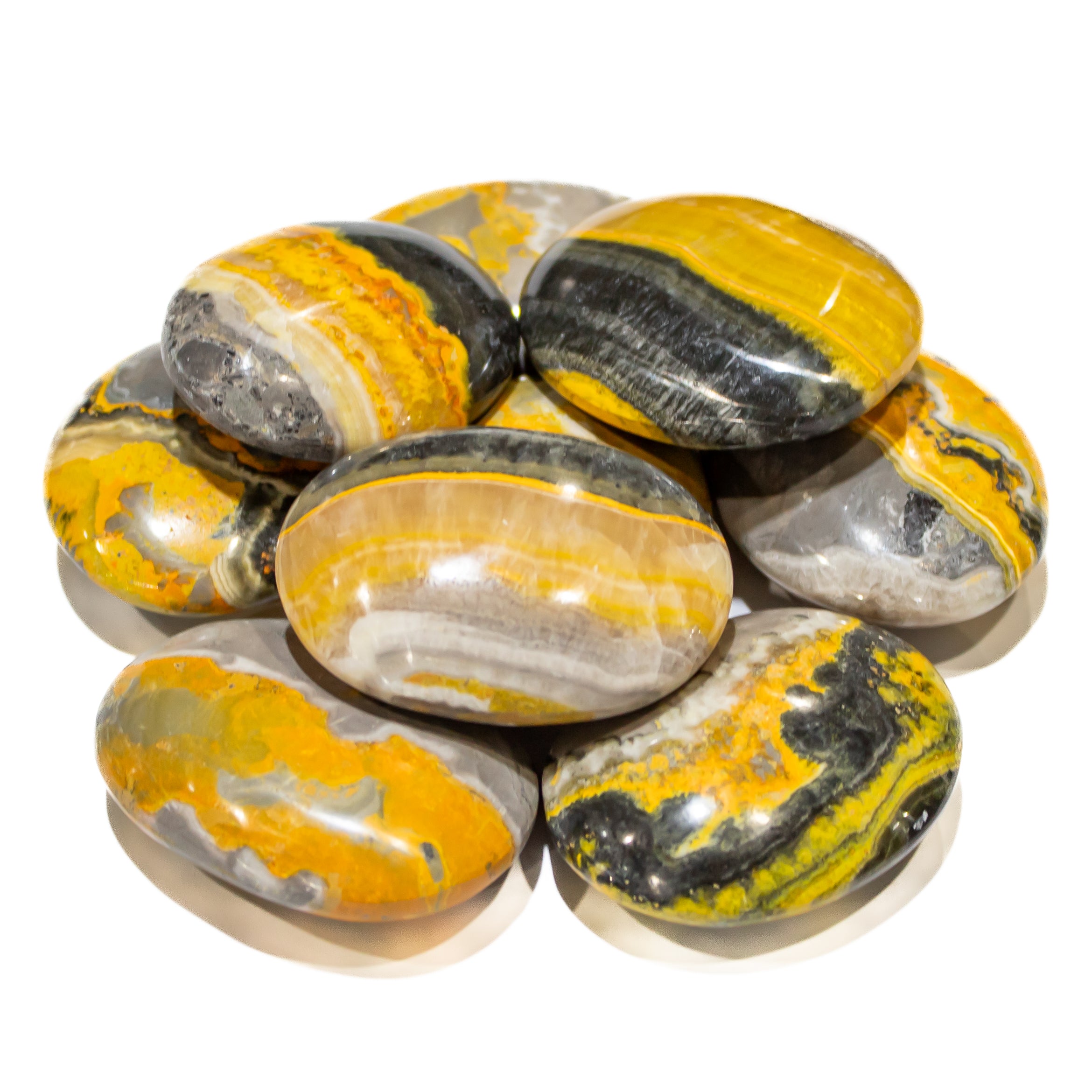 Bumble Bee Jasper Pillows