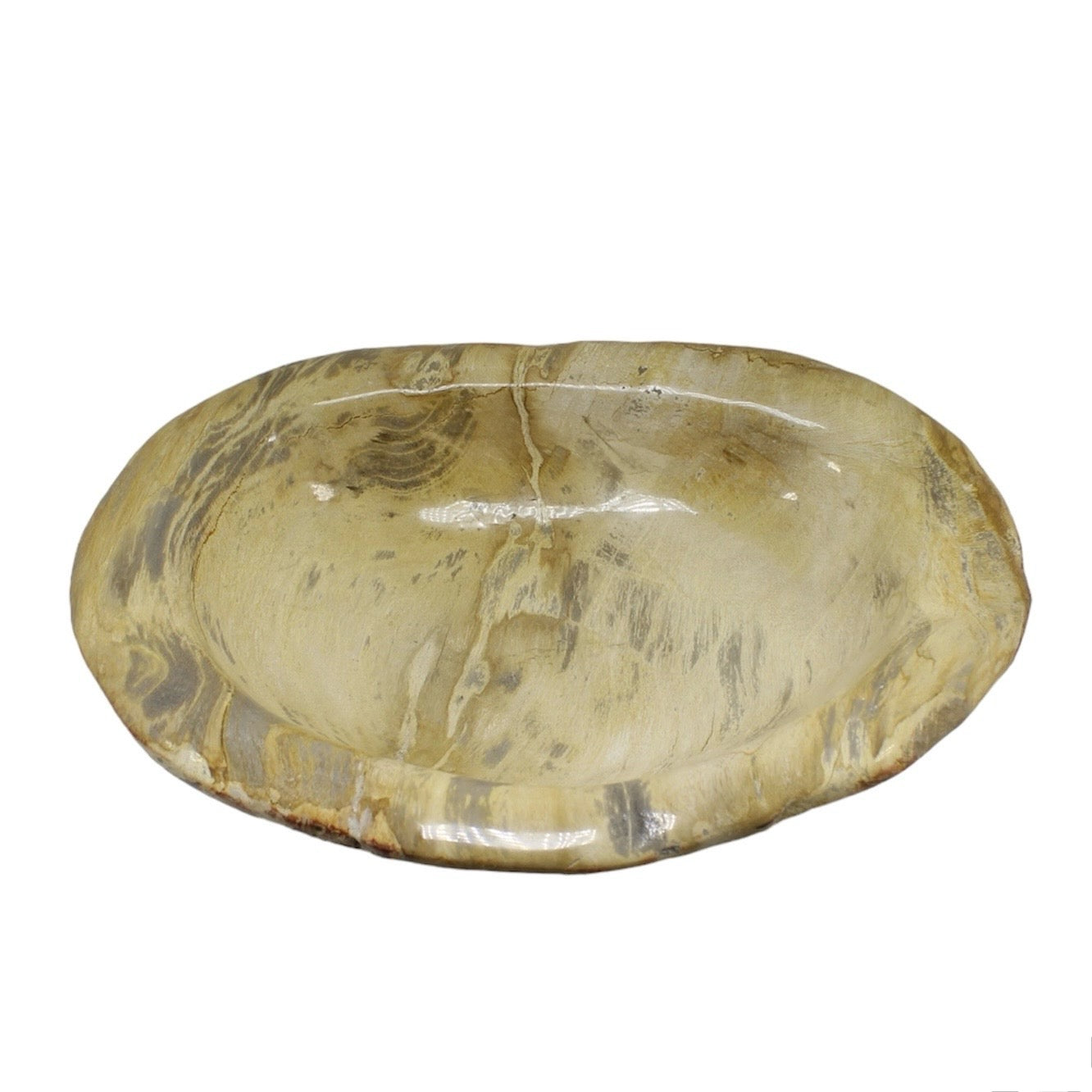 Petrified Wood Bowl Medium