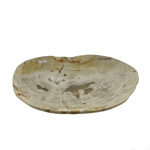 Petrified Wood Plate M