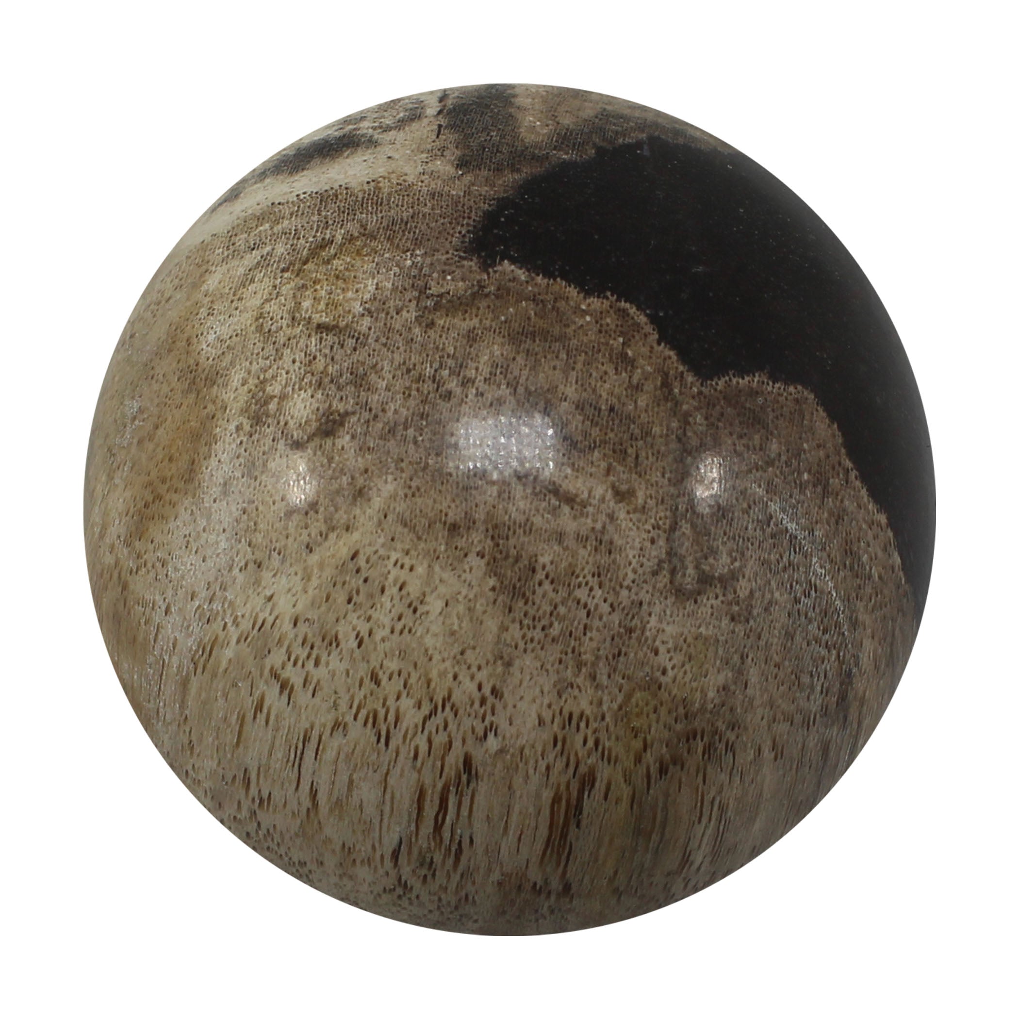 Petrified Wood Spheres (Indonesia)