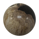 Petrified Wood Spheres (Indonesia)