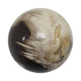 Petrified Wood Spheres (Indonesia)