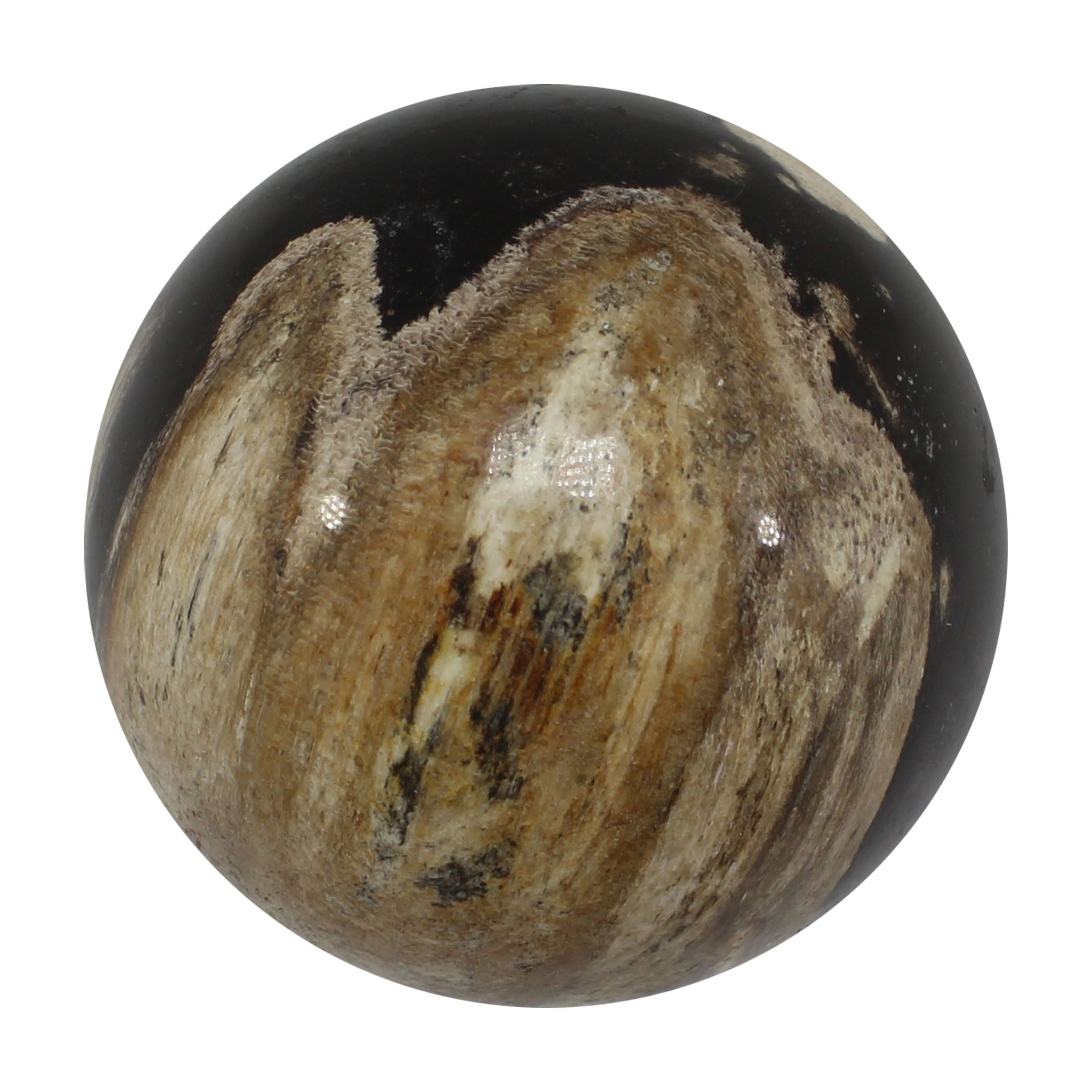 Petrified Wood Spheres (Indonesia)