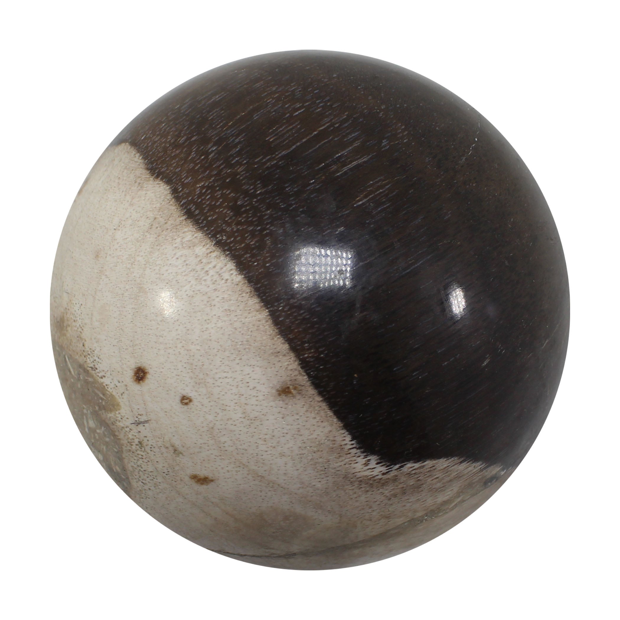 Petrified Wood Spheres (Indonesia)