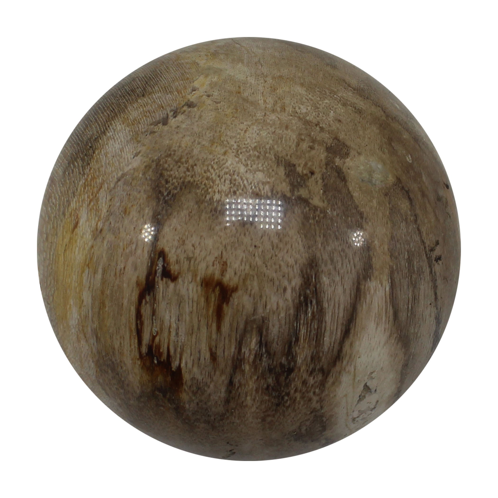 Petrified Wood Spheres (Indonesia)
