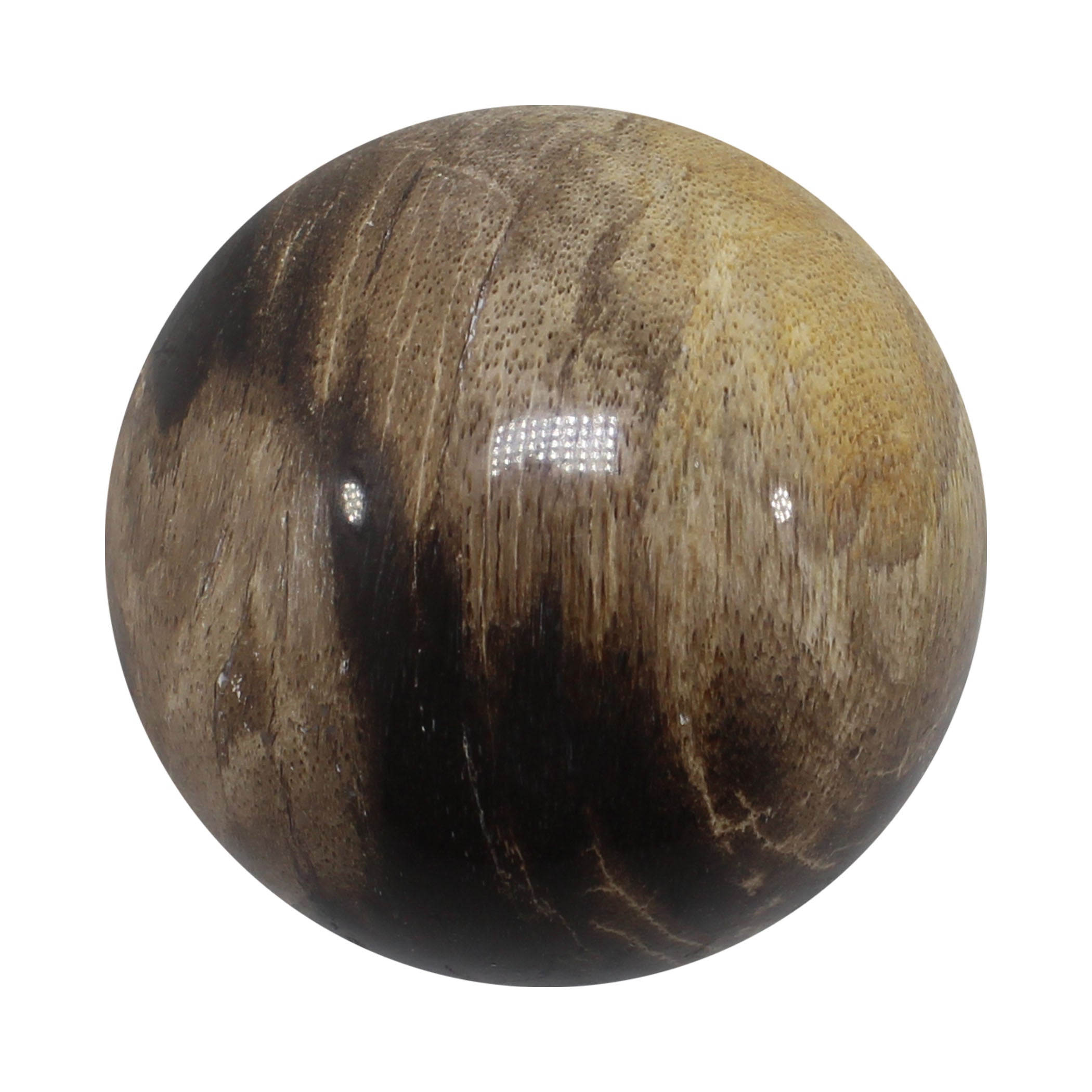 Petrified Wood Spheres (Indonesia)