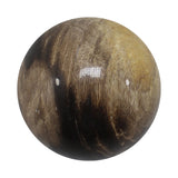 Petrified Wood Spheres (Indonesia)