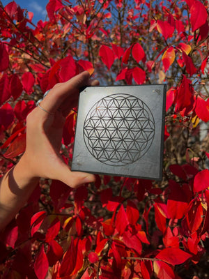 Shungite Square Tile Engraved Flower of Life 10x10x1cm