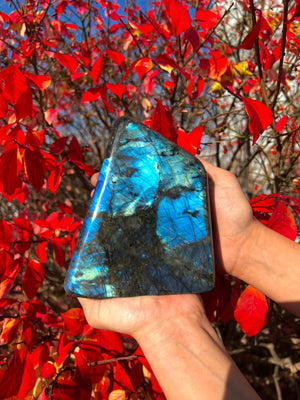 Labradorite Free Forms