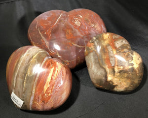 Petrified Wood Hearts