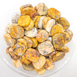 Yellow Crazy Lace Agate Smooth Small