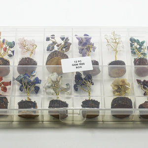 Chakra Gemstone Tree Box