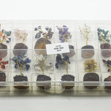 Chakra Gemstone Tree Box