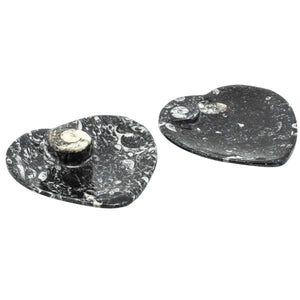 Ammonite Fossil Plate Heart 11cm