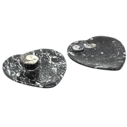 Ammonite Fossil Plate Heart 11cm