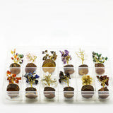 Chakra Gemstone Tree Box