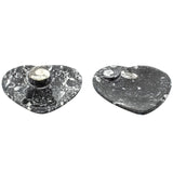 Ammonite Fossil Plate Heart 11cm